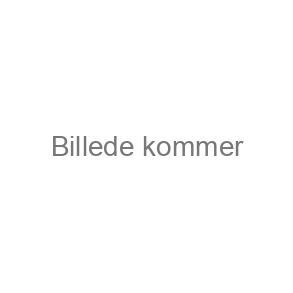 Forglem mig ei