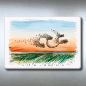 Sort sol ved marsken, T�nder
