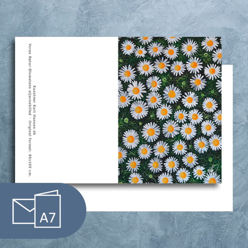 Vores Natur, Blomstens stjernebillede